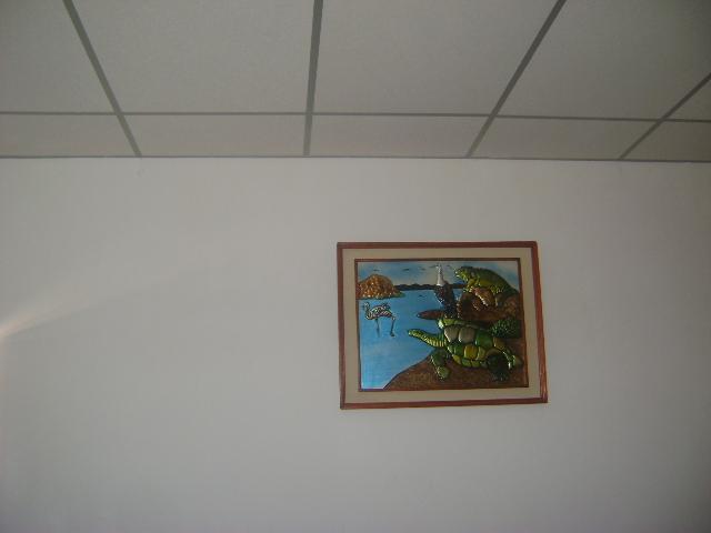Hôtel Las Gardenias à Puerto Villamil Extérieur photo